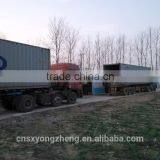 Drum (200g) Freeze Dried Locusts ;Freeze Dried Locusts For Pet Bird thumbnail-5