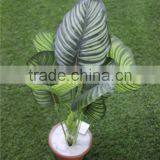 Brand Name Artificial Bonsai Plants Artificial Zebra Evergreen Bonsai Decor thumbnail-1