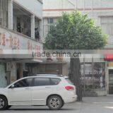 Big Outdoor Use Artificial Banyan Tree,green Fake Banyan Tree thumbnail-5