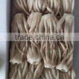 Frozen Illex Squid Tentacle thumbnail-4