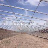 Single Span Agricultural Greenhouse for Vegetable Fruits thumbnail-2