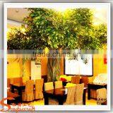 Artificial Architectural Model Tree of Ficus Tree / Artificial Big Trees Artificial Plants of Leaves thumbnail-3