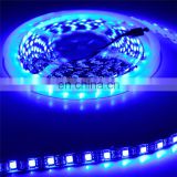 RGBW DC12/24V Low Voltage Input Various CCT Available Led Strip Light With 3/5 Years Warranty