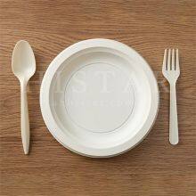 Environmentally Friendly Compostable Disposable Food Plates thumbnail-1