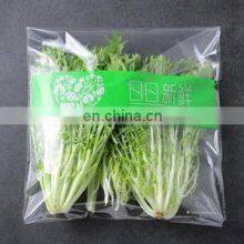 Hot Sell SY-680 High Good Quality Automatic Multifunction Vegetable Packing Machine thumbnail-4