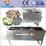 Stainless Steel Quail Egg Boiling and Automatic Quail Egg Peeling Machine for Sale