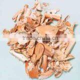 DRIED CRAB SHELL thumbnail-1