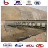 Structural Steel Bridge