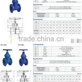 OEM Chinese Factory JIS DPS Non Rising Stem Gate Valve Quality Choice thumbnail-4