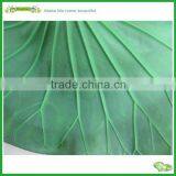 Artificial Single Lotus Leaf in Lifelike Appearence thumbnail-3