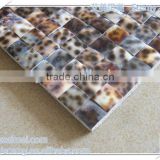 Square tiger's speckle mother of pearl seashell mosaic wall tile