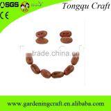 Import China Products Bonsai Tree Magic Growing Message Beans thumbnail-2