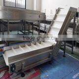 Pom Material Climbing Belt Conveyor System for Packing Industry thumbnail-3