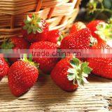 Eco-Friendly Feature Fancy Bathroom Mat