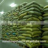 PUMPKIN KERNELS SHINESKIN AA thumbnail-3