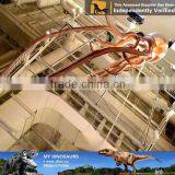 My Dino-C030 High Quality Fiberglass Life Size Octopus Model for Sale thumbnail-3