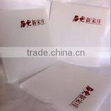 2013 Custom Thick Plastic File Folder