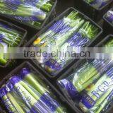 Chinese Fresh Celery thumbnail-5