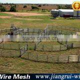 Cattle Panels thumbnail-2