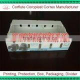 Corrugated Plastic Blueberry Packing Box