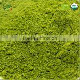 Matcha Organic thumbnail-5
