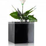 Flower Fiberglass Beautiful Water Proof Pot Planter Sale thumbnail-5