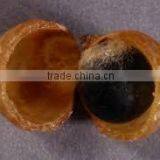 Soapnut Herbal Product Exporter In Indian//Second Grade thumbnail-5