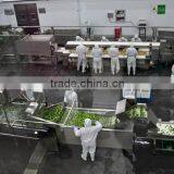 Hoang Kim Viet Nam Import- Export Company Limited company overview - view 2 thumbnail