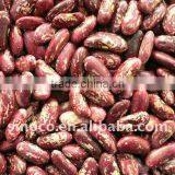 Kidney Bean in China