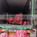 Fresh Red Onions for Sale Types Red Onions Lowest Price Fresh Red Onion thumbnail-2