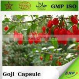 BNP Suppliers GMP Goji Berries Organic Capsules thumbnail-3