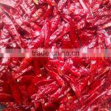 DRIED CHILLI thumbnail-4