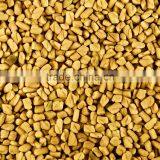 Superior Quality Fenugreek seed