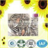 Inner Mongolia Drying Sunflower Seeds With Cheap Price thumbnail-5