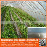 hot selling 100 , 150 , 200 micron agricultural uv protection blue plastic greenhouse film , pe plastic protective film