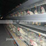 A Type Animal Cage Layer Hen Battery Cage for Sale thumbnail-1