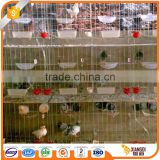 Customized Supplier layer dove cages wire mesh for sale