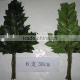 Hisakaki thumbnail-1