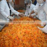 Sterilization Machine thumbnail-3