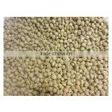 Protein Food Processing Line Making Plant Website:hongzhen.yang2 thumbnail-1