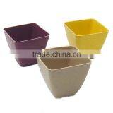 Ecofriendly Biodegaradable Plant Pot thumbnail-5