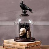 Halloween Skull and Crow Decoration With Glass Dome Creepy Gift thumbnail-1