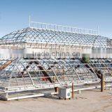 Hot Galvanized Steel Frame Roof Victorian Green House Roof thumbnail-2