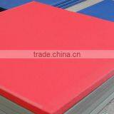 2017 Wholesale Cheap Good Quality Shockproof High Density pu Sponge Judo Mats for Gym thumbnail-1