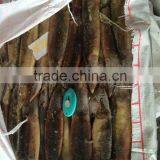 Frozen Illex Squid W/R New Landing 2015 Big Quantity thumbnail-1