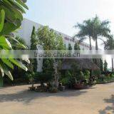 Hung Phat Tea Corporation company overview - view 3 thumbnail