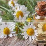 Pure Chamomile Oil thumbnail-2
