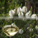 Cajeput Oil thumbnail-1