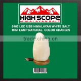 HIMALAYAN WHITE SALT USB POWERED LED MINI LAMP NATURAL SHAPE