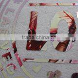 2017 Stretch Foil Souvenir City Name Heat Transfer thumbnail-6